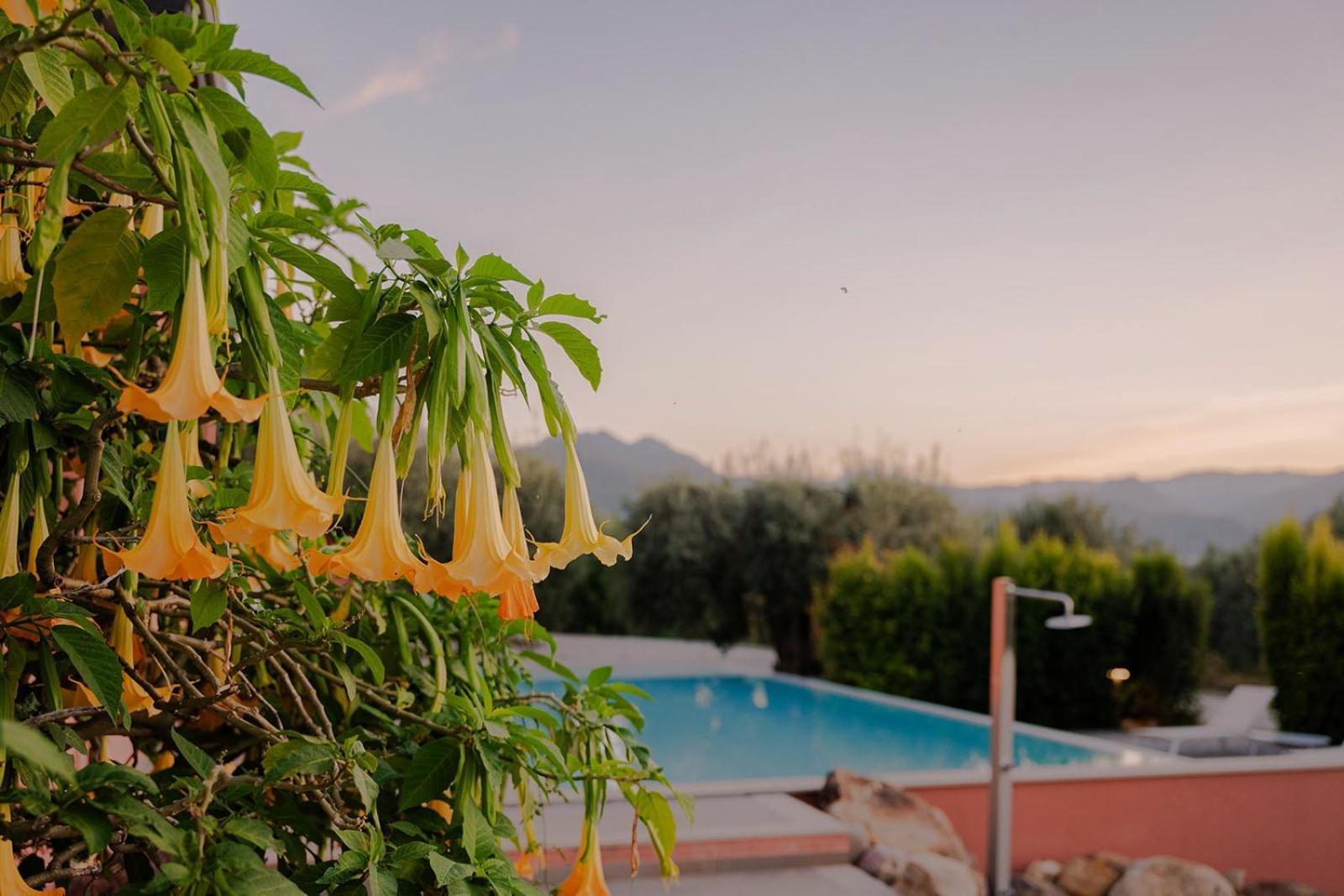 Bioagriturismo Antica Sena Milici ภายนอก รูปภาพ