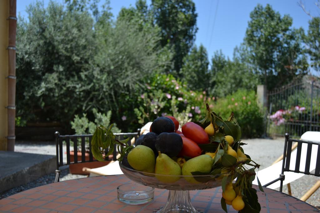 Bioagriturismo Antica Sena Milici ภายนอก รูปภาพ